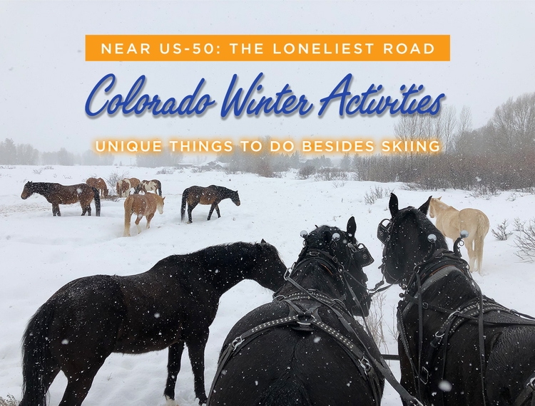 Unique Things to Do in Colorado During Winter