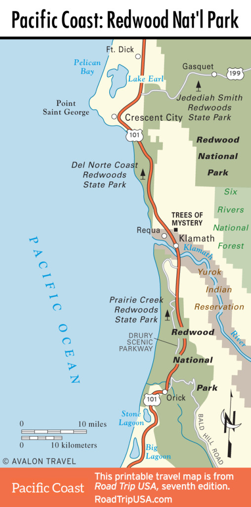 Jedediah Smith Redwoods State Park | Pacific Coast Route in California