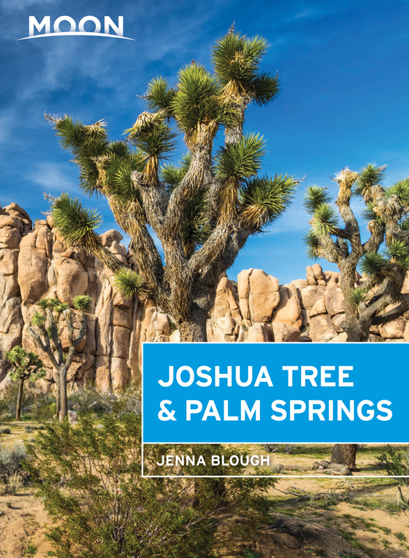 Moon Joshua Tree & Palm Springs - ROAD TRIP USA